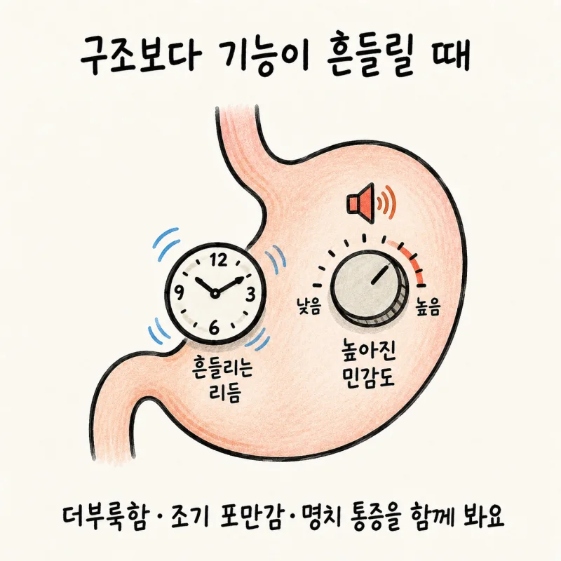담적병 증상은 위장에만 머물지 않아요