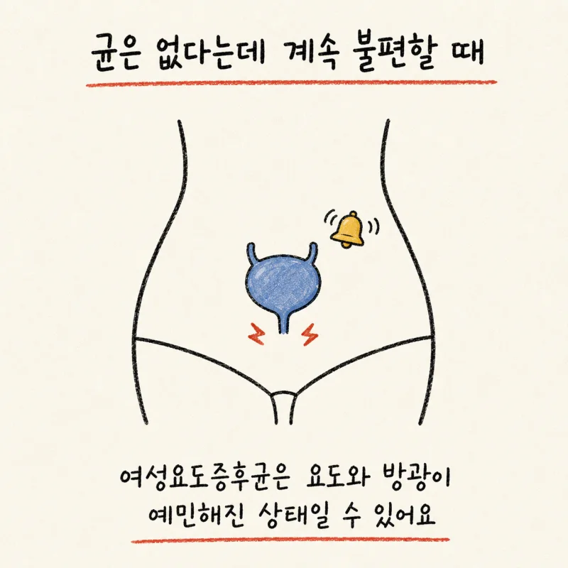 인천 송도 여성요도증후군 · 요도 자극 증후군 · 무균성 빈뇨