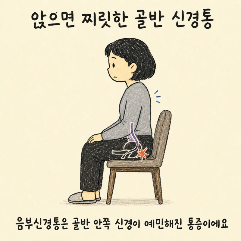 인천 송도 가랑이통증 음부신경통 · 음부신경 압박 통증 · 골반 신경통