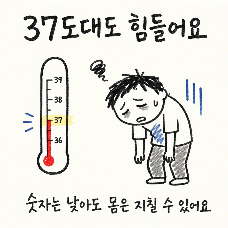 인천 송도 만성 미열 · 만성 저열 · 불명열
