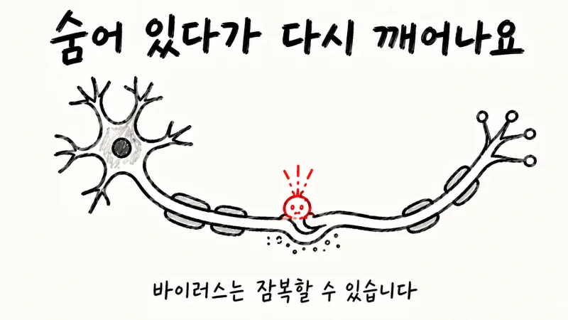 구순포진은 어떤 질환일까요?