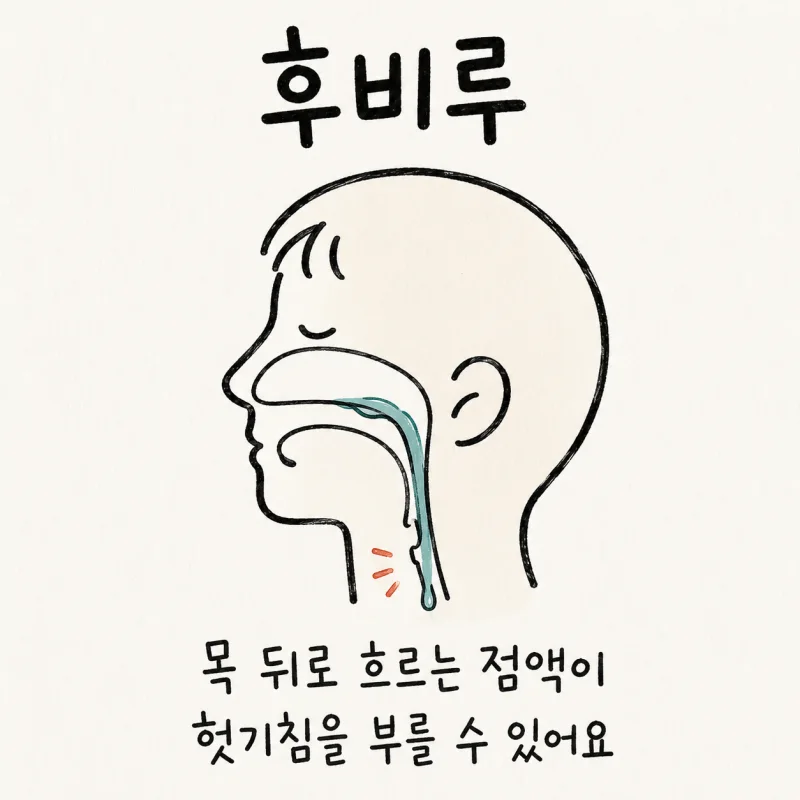 인천 송도 후비루 · 후비강 분비물 · 비후액 · 상기도기침증후군
