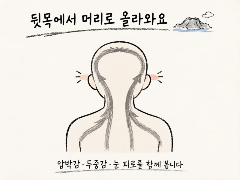 긴장성두통의 주요 원인
